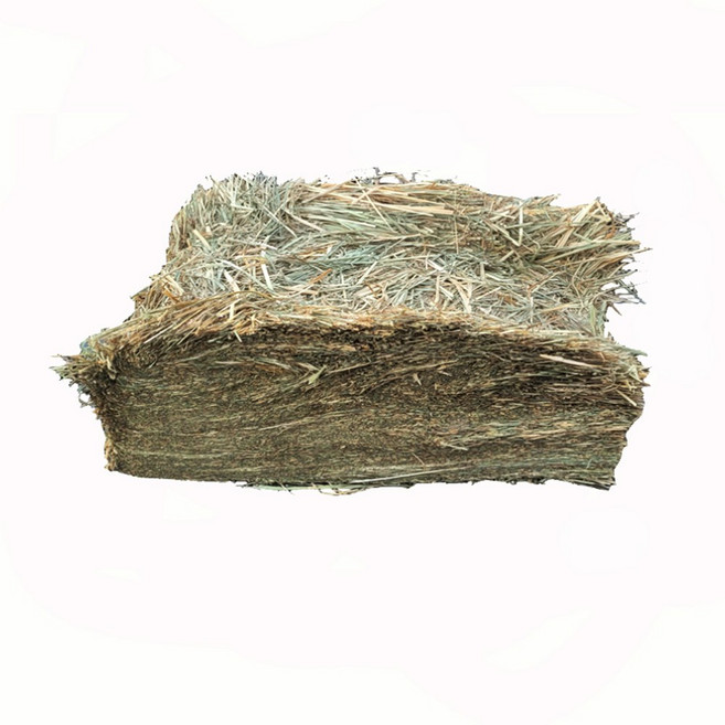 대용량 프리미엄 톨패스큐 건초, 1개, 5kg