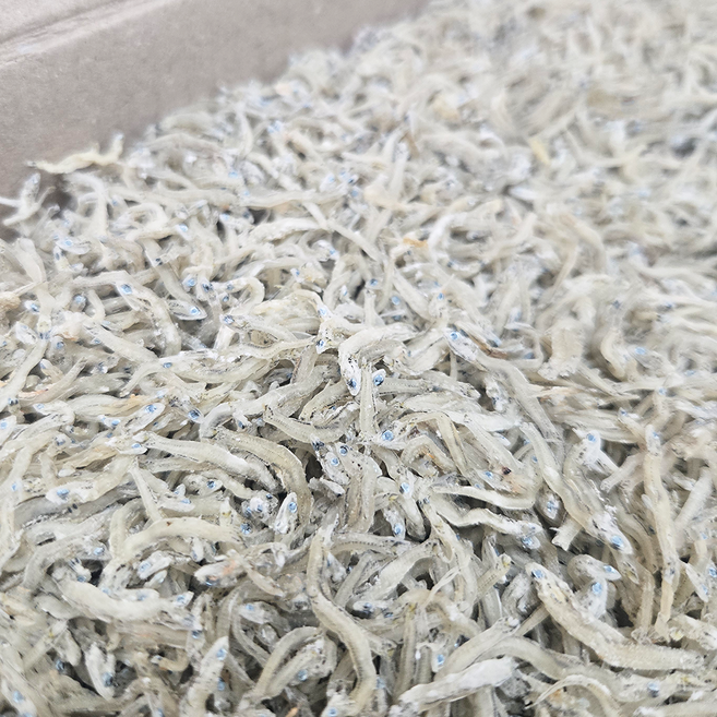 국내산100% 품질좋은 국산 햇 지리멸치 잔멸치 조림용멸치 (특품), 1박스, 1.5kg