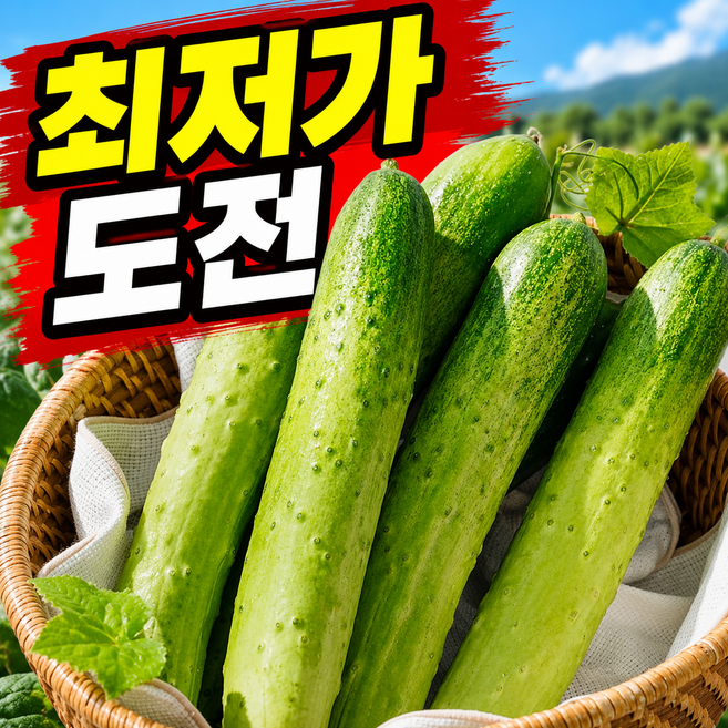 [50박스한정판매] 산지직송 백다다기 시원하고맛있는 백오이, 1박스, 5kg