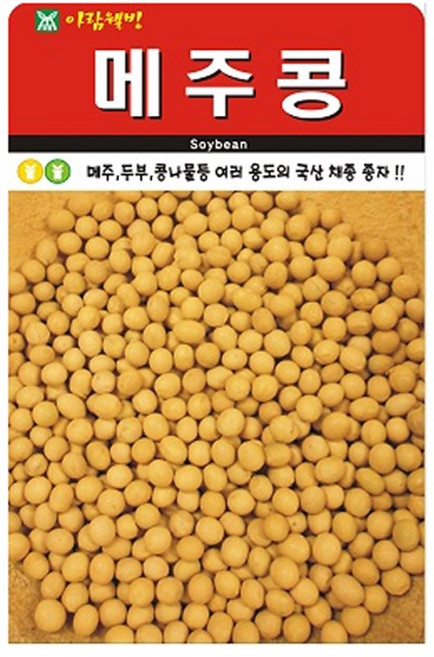 SN월드 씨앗 열매채소 과일채소 모음 (딸기 토마토.호박.오이 고추 수박 참외), 1개