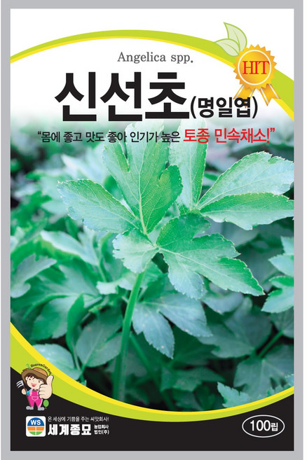 세계종묘 신선초 씨앗 100립, 1개