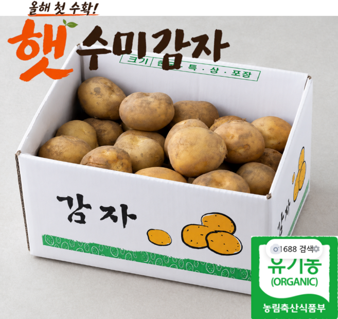 국내산 유기농 수미감자 햇감자, 1박스, 10kg