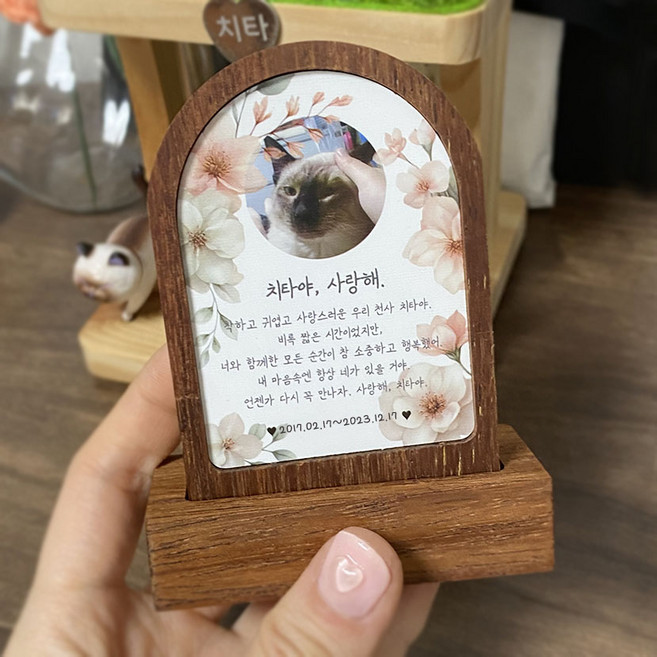 반려동물 추모사진 고양이 강아지 위패 납골당, 1개