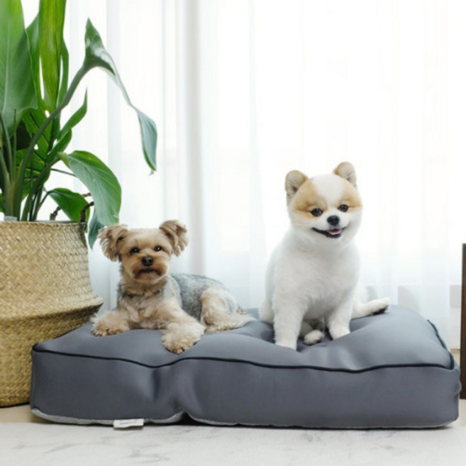 아페토 마약방석 시즌2 커버분리형 마이크로 비즈 구름 방석 / 강아지방석 고양이방석, 그레이, 1개