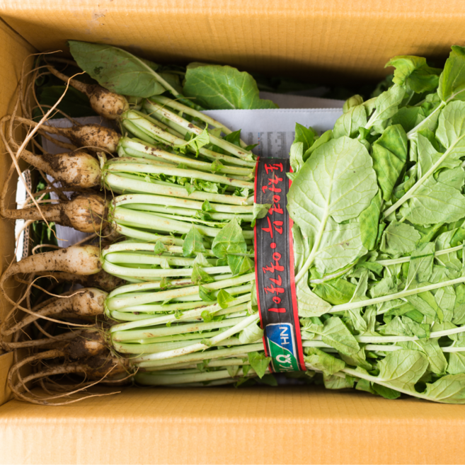 국산 제철 아삭한 열무, 1개, 2kg내외(1단)