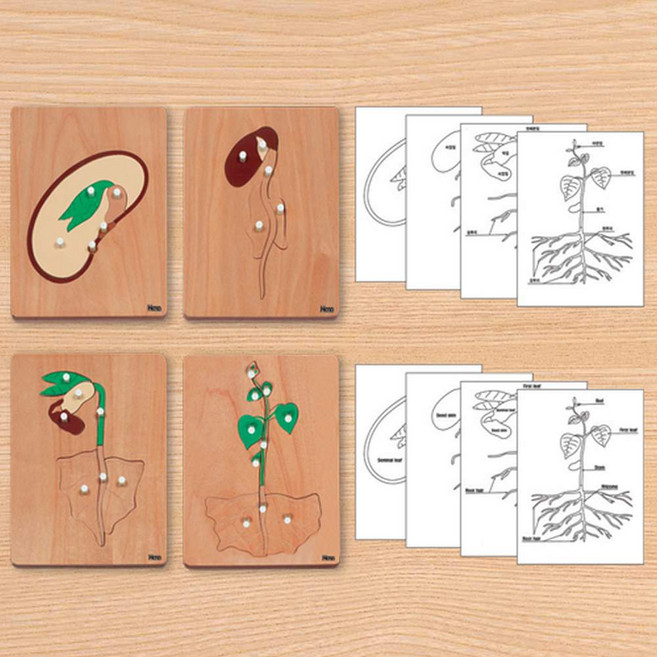 하나몬테소리 [하나몬테소리]콩성장퍼즐, 1개