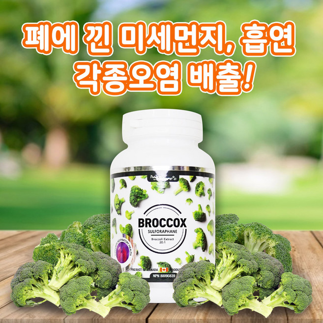 (PNC제품 브로콕스)초 미세먼지 중금속배출 설포라판 브로콜리 (PNC 20:1 Sulforaphane Broccox 90caps), 90정, 1개