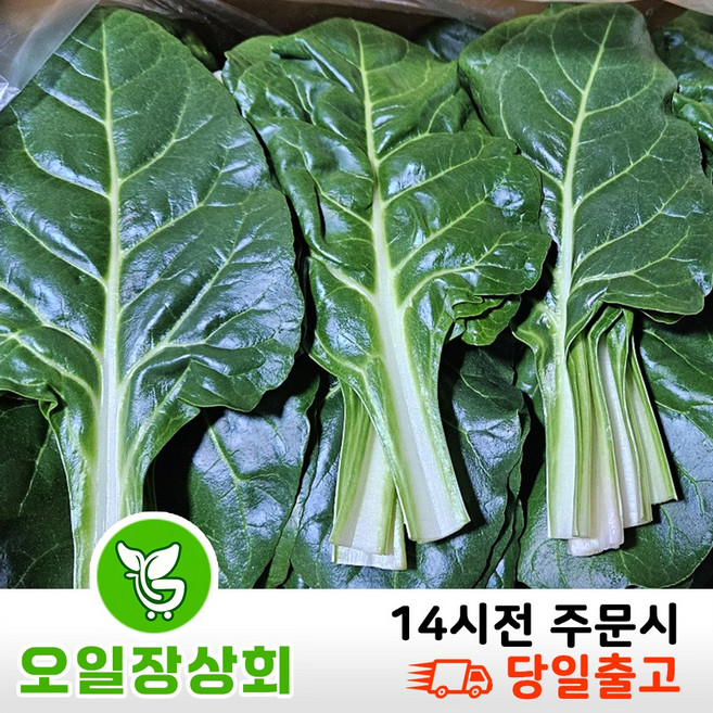 ( 오일장 상회 ) 국내산 근대 4KG내외, 1박스, 4kg