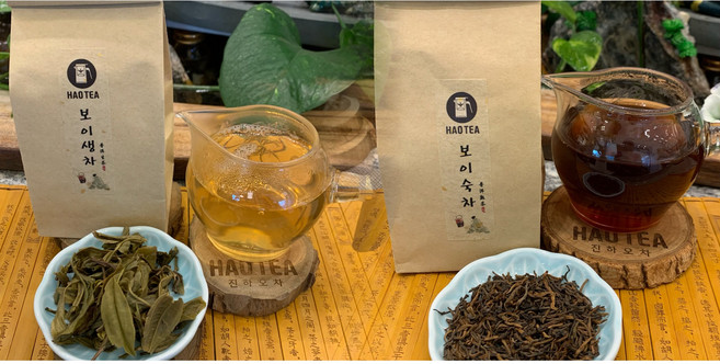 진하오차 고품질보이차 숙차 생차, 1개, 생차(2021년 괄풍채고목생산차)