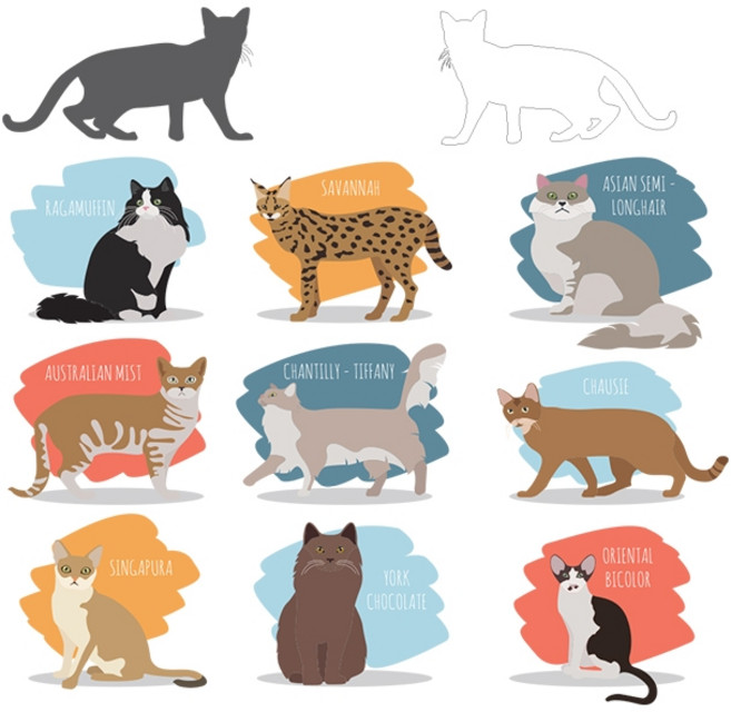 천아트 3D전사지 03 캣친구들-216번(93216) 티셔츠 전사지 제작, 1개