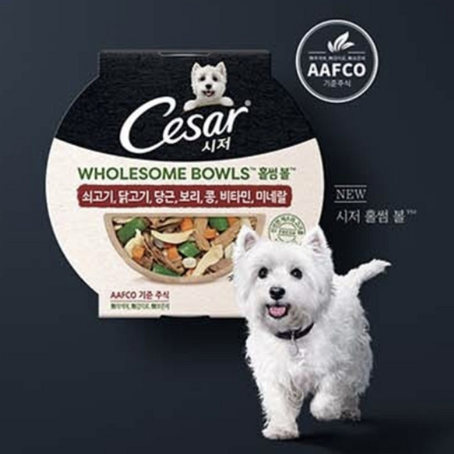 강아지습식 파우치사료 기호성 좋은 홀썸볼 소고기 당근 85g 1P 화식, 1개