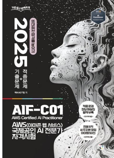 2025 AWS 아마존 웹 서비스 국제공인 AI 전문가 자격시험, 책바세