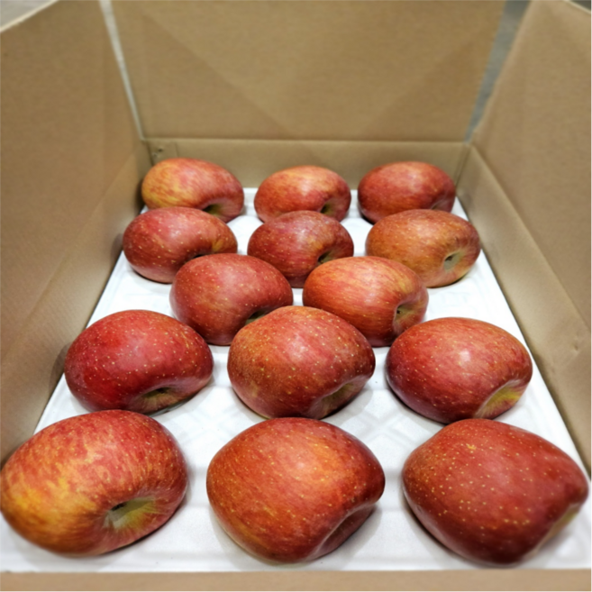 ( 특품 사과 ) 과즙팡팡 경북 선물용 정품 부사 사과 (정품), 1개, 5kg 대과(정품) 선물포장