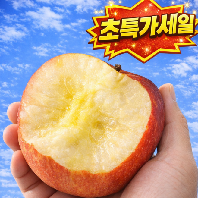 [오늘만특가] 당도폭발 부사사과 산지직송 초특가할인, 1박스, 3kg 중과