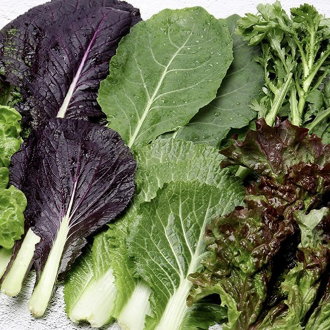 관우농가 제철 쌈채소 모둠 7종 랜덤, 1)600g