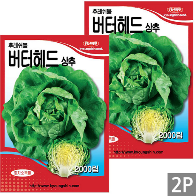 세인화분 후레쉬볼 버터헤드 상추 2000립 - 씨 씨앗 샐러드 유럽상추 청상추, 2개