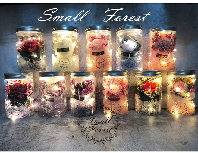 Small Forest 乾燥花燈瓶 玫瑰滿天星 迷你花束 禮物擺飾 情人節生日畢業婚禮小物, 燈串加購