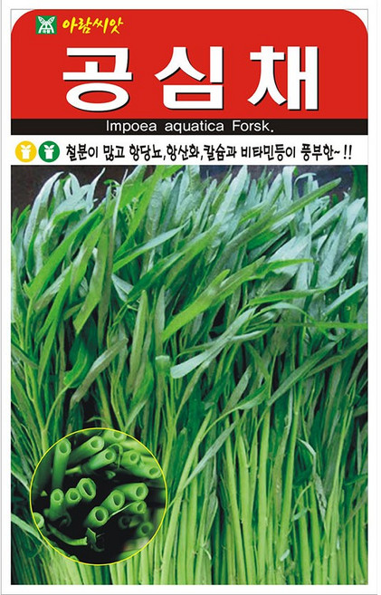팜앤리빙 공심채 씨앗 200립 모닝글로리 종자, 1개