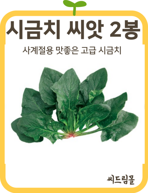씨드림몰 시금치 씨앗 봄 가을 겨울 월동 섬초 노지 30g, 2개