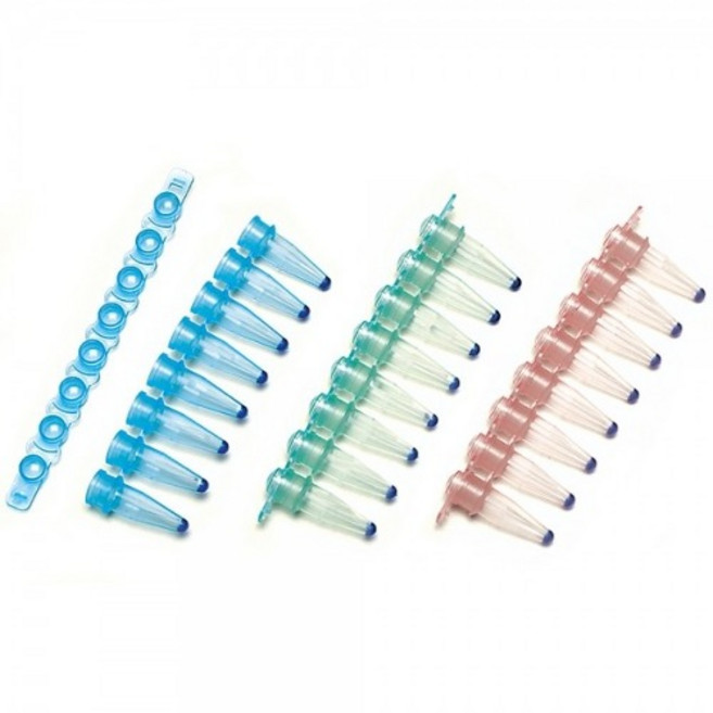 Restriction Enzyme(제한효소), EcoRI, 1개