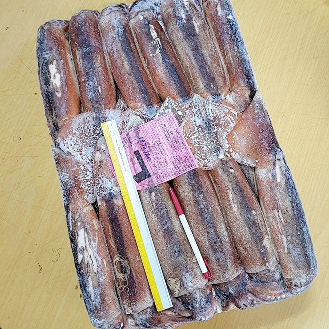 식당업소용 원양산 선동 포크오징어 L 큰사이즈 1박스 약20kg 약40마리전후