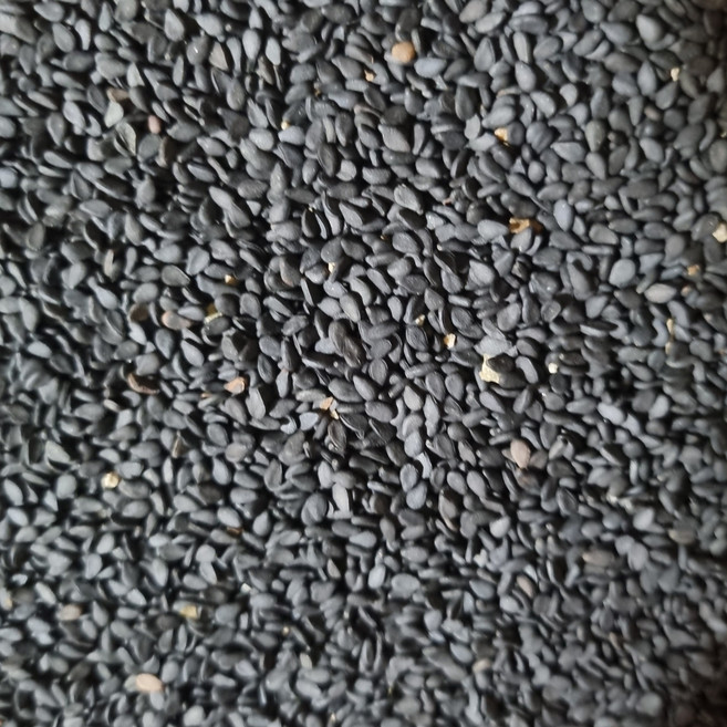 전남 곡성 산지직송 25년산 국산 햇 검정깨 흑임자 국내산, 1박스, 1kg