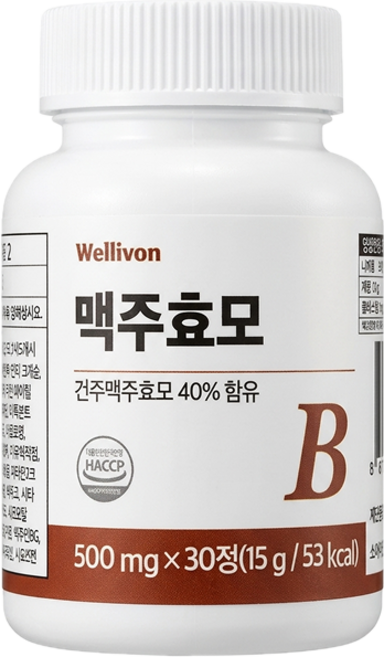 웰리본 맥주효모 500mg x 30정, 1개, 15g