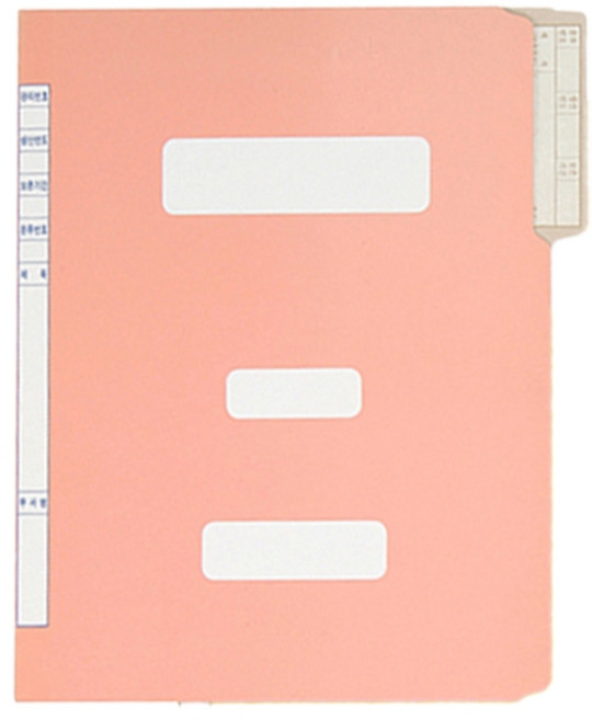 화일사랑 A4 컬러 정부화일, 10개, 04-분홍