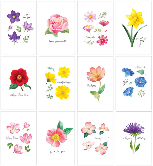 마음담아 60장세트 감성 일러스트 장미 꽃 인테리어 플라워 가든 엽서, 60장, 봉투포함 엽서60장세트