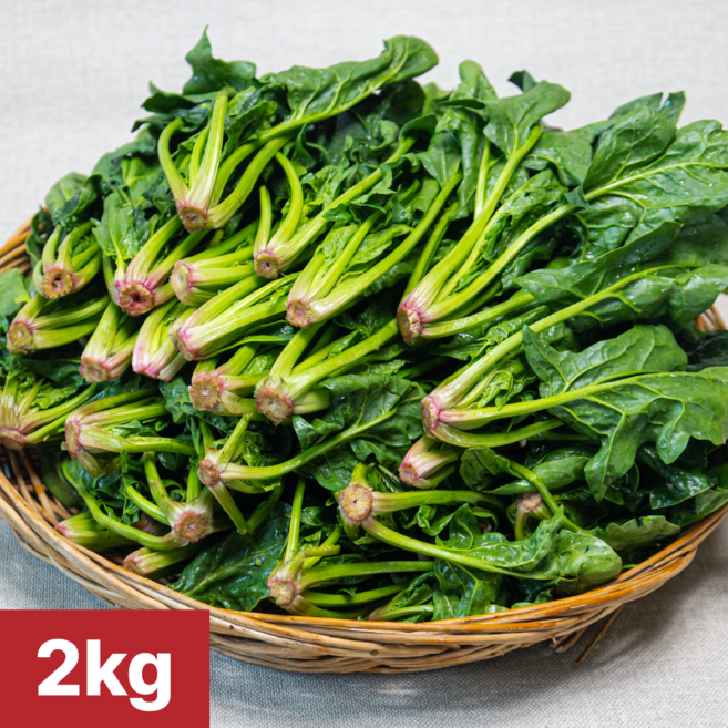 [여수 청년농부] 당일제조 국내산 여수 시금치, 1개, 2kg