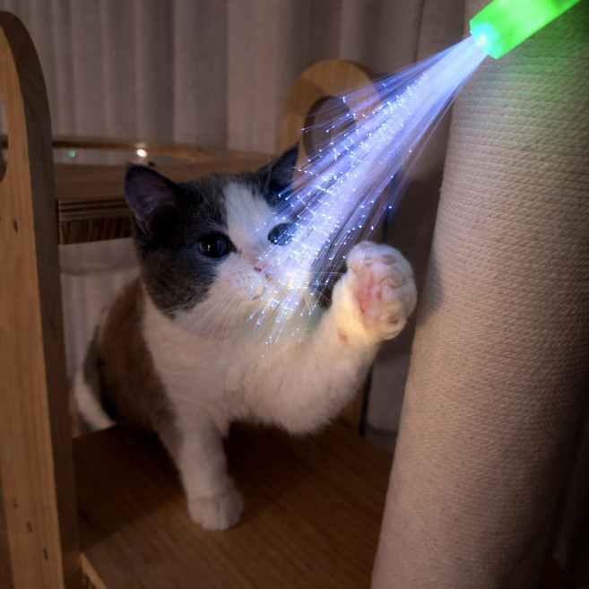 고양이 광섬유 스파클 낚싯대 장난감 CB-59, 1개, 그린