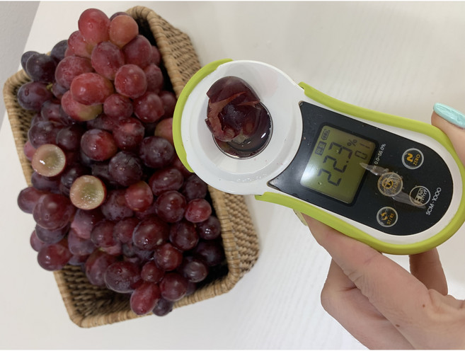 씨없는 포도 블랙사파이어 고당도 체리크러쉬 크림슨 800g, 2개