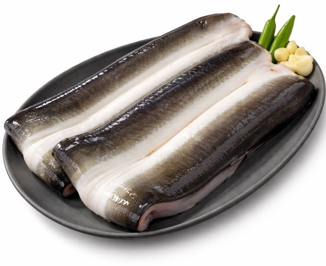 [재구매율1위] 풍천 자포니카 민물장어 최상급 특대 소스2종 생강채 디아머스, 1개, 1kg (손질 후 750g)