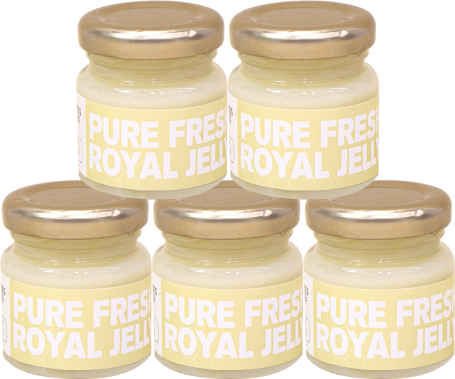 비즈랩 생로열젤리 천연 로열제리 생로얄제리 50g, 5개