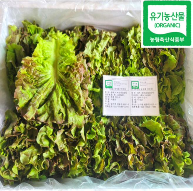 9위 - 100% 유기농 친환경 꽃상추 1kg, 1개