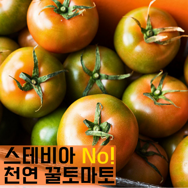 [아이간식] 스테비아 NO 천연 꿀맛 토렌지 미니 토마토, 1박스, 정품-L사이즈 1kg