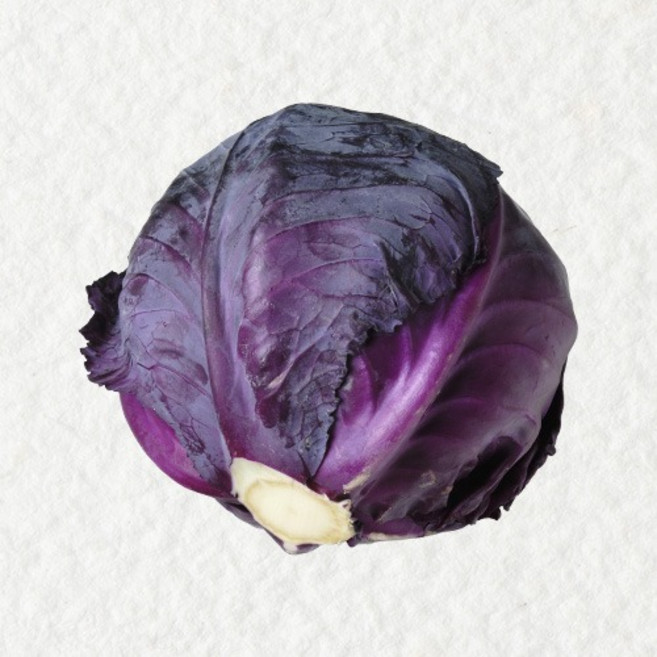 쉐프의정원 산지직송 적채 1통 (정품 900g 내외), 900g 내외, 1개