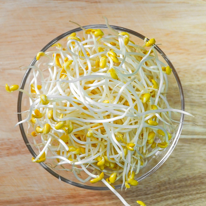 지하 200미터 천연암반수로 키운 콩나물, 1박스, 2kg