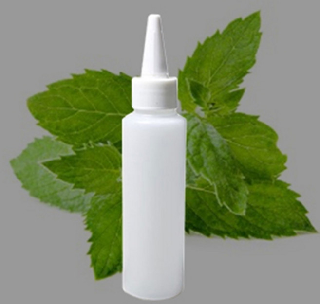 스피어민트 스피아민트 '달콤시원한 향' ( 프래그런스오일 ), 500ml, 1개