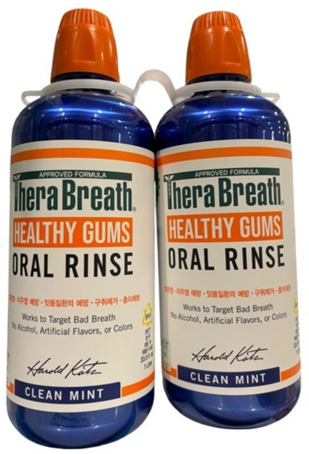 테라브레스 아이시 민트 구강청결제, 2개, 1L