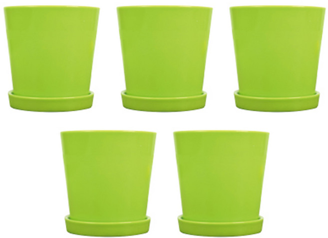 모두다 담따 플라스틱 화분 베이직 미니, 5개, 그린