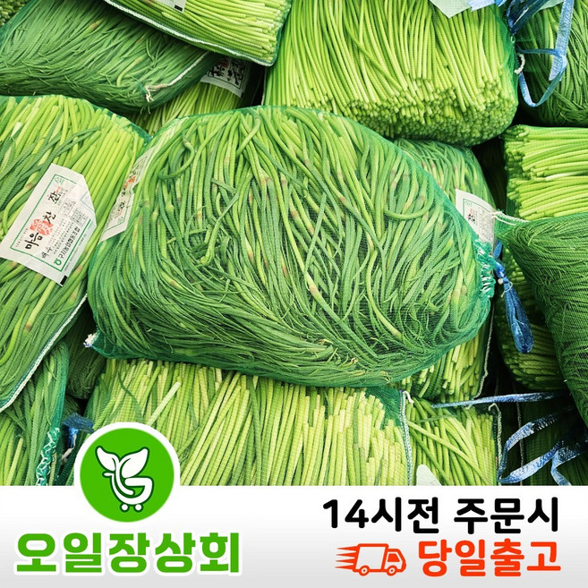 국내산 햇 마늘쫑 500G 1KG 2KG 3KG 5KG 내외, 1개