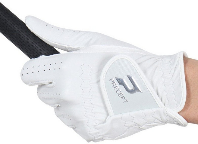 브리지스톤골프 프리셉트 PRECEPT 남성 골프 장갑 왼손 HYBRID MODEL PRHY2401 WHT 컬러 화이트 133009, 22.0