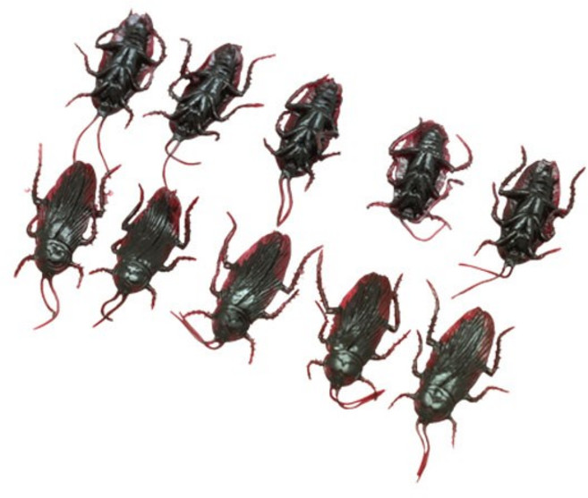 마술도구 마술 소품 악세사리 코믹매직 리얼 바퀴벌레 모형, 1개