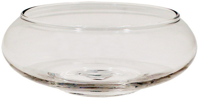 아마존피쉬 유리수반 150 원형 어항 식물 재배