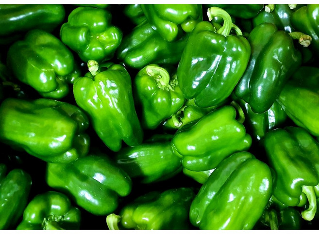 (가락시장까망콩) 당일경매 신선한 업소용 못난이 청피망10kg, 1개