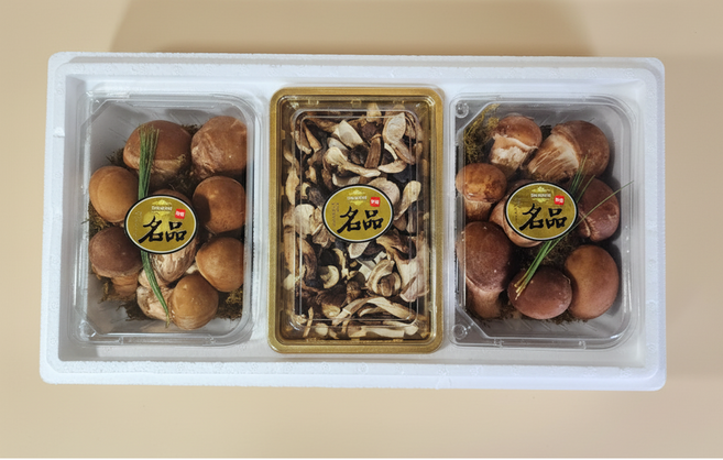 [황룡참송이]산지직송 최상급 건강한 참송이버섯 선물용 선물세트, 1개, 3구세트