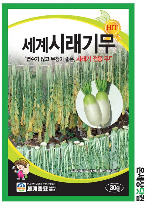 세계시래기무 30g / 종자 씨앗 텃밭 가을재배 국 무침 반찬재료, 2개