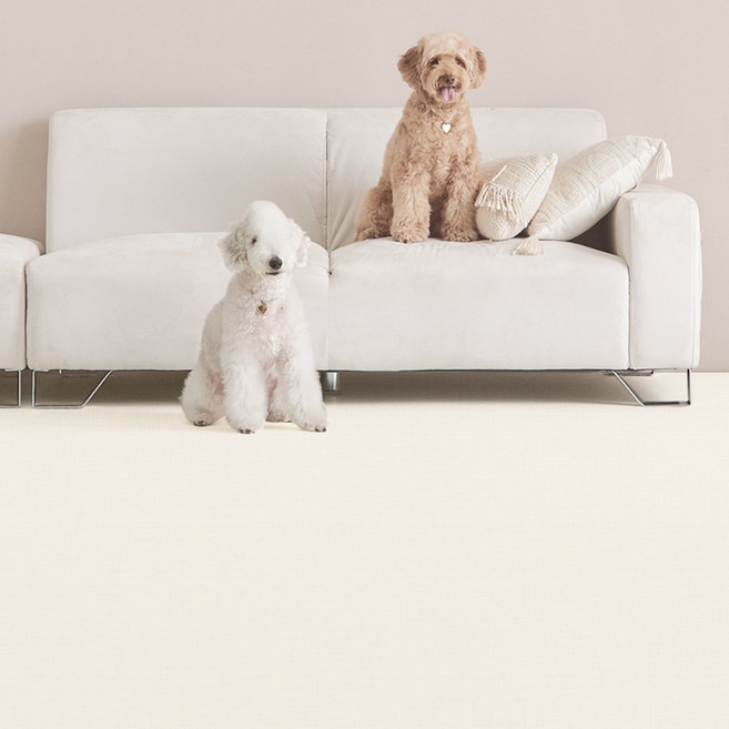 피오르 반려동물 논슬립 미끄럼방지 매트 롤형, 트위드 베이지