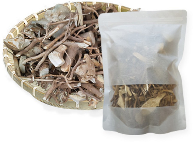 해남 황칠나무 뿌리, 1개, 500g